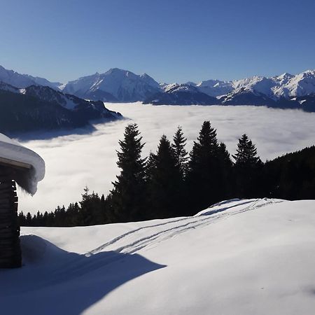 Haus Viktoria Διαμέρισμα Mayrhofen Εξωτερικό φωτογραφία