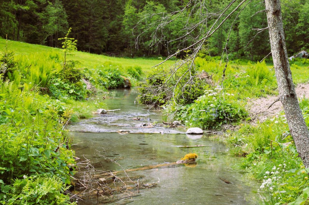 Haus Viktoria Διαμέρισμα Mayrhofen Εξωτερικό φωτογραφία