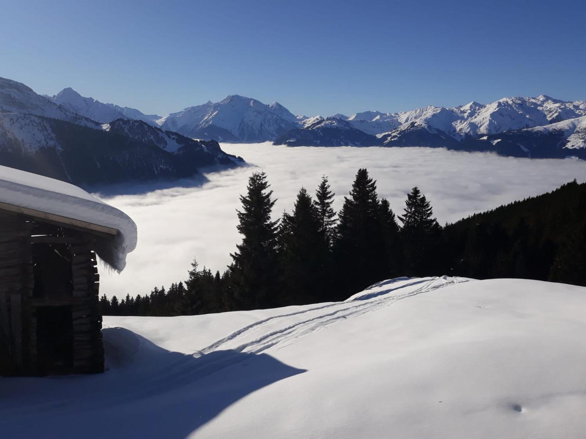 Haus Viktoria Διαμέρισμα Mayrhofen Εξωτερικό φωτογραφία